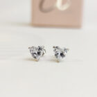 ต่างหู รุ่น My Heart (เงินแท้ s925)